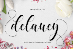 Delaney Modern Script Font for Elegant Branding
