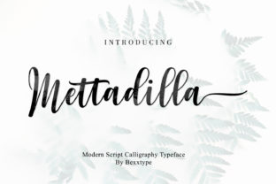 Mettadilla Script: Elevating Editorial Design with Modern Calligraphy
