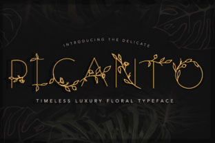 Picanto Font Review: The Best Script Handwritten Option