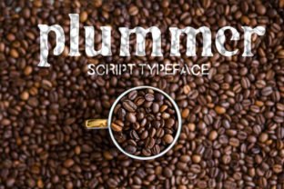 Plummer Font Review: The Best Script Handwritten Style for Retro Design