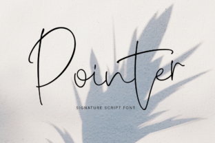 Pointer Typeface: A Modern Script for Editorial Branding